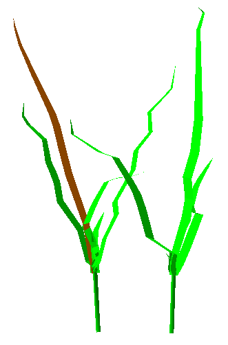 ../_images/adel.png